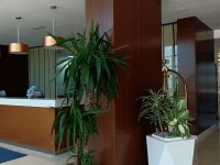 INTERIEUR (3) INTERIEUR (3)